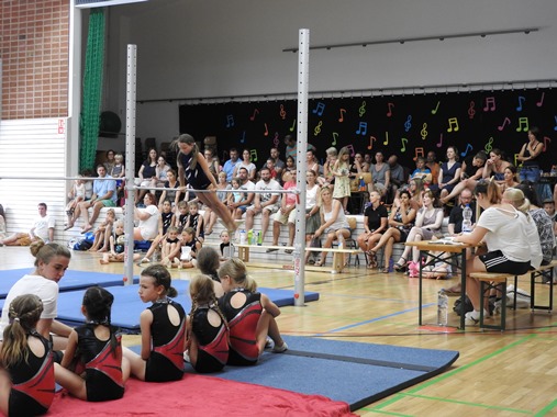 Finale Hallek