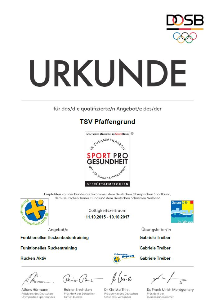 Plusp.Gesundh2015-17